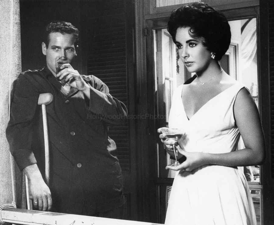 Paul Newman 1958 1 With Elizabeth Taylor Cat On a Hot Tin Roof wm.jpg